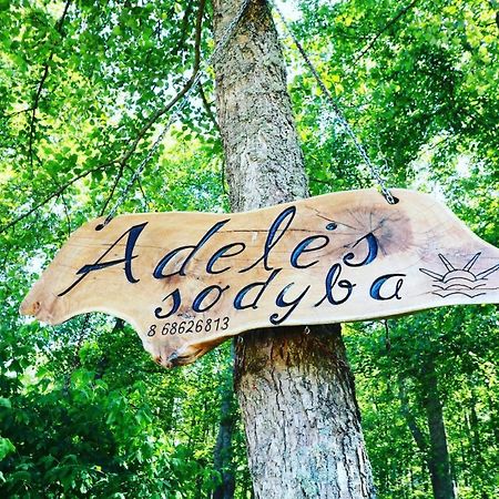 Adeles Sodyba Sturmai Exteriör bild