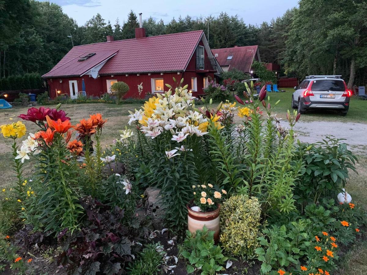 Adeles Sodyba Sturmai Exteriör bild